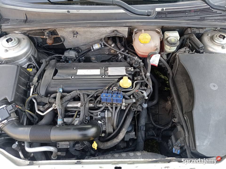 Opel Vectra C 22 147 EcoTec manualna Opoczno