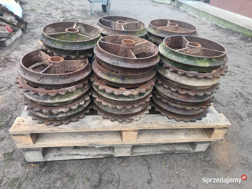 Pierścienie do wałów posiewnych Cambridge wielkopolskie Brdów