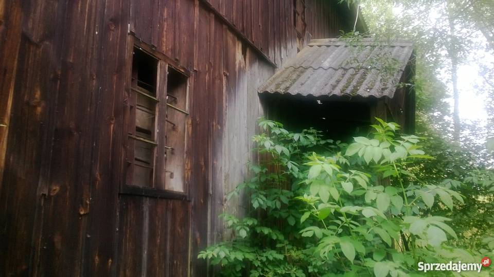 Domek w lesie do zamieszkania lubelskie Grabowce Dolne sprzedam