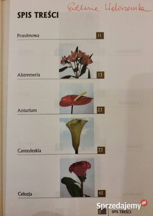 Kwiaty cięte uprawiane pod osłonami Marek Jerzy dolnośląskie Wrocław