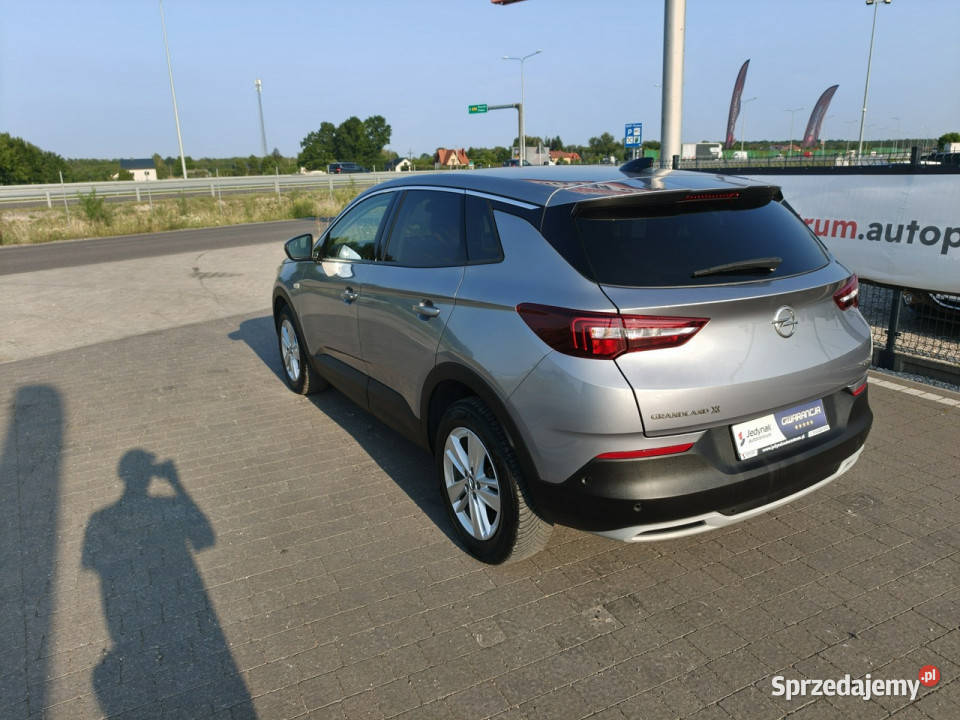 Opel Grandland X diesel Lipówki