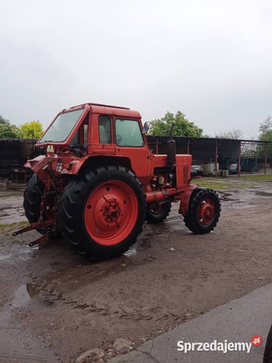 Sprzedam ciągnik MTZ 82 nieuszkodzony Ciągniki wielkopolskie Środa Wielkopolska