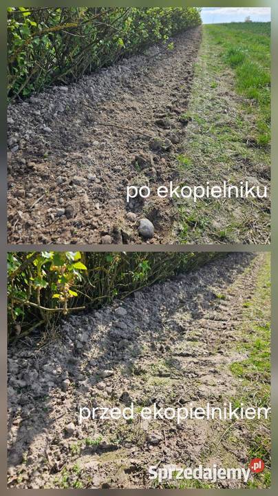 Pielnik Ekopielnik sadowniczy do porzeczki mazowieckie Siedlce sprzedam