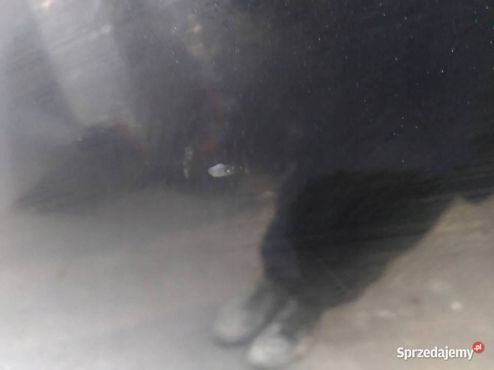 DRZWI LEWE TYŁ SEDAN Z22C Opel Astra IV 2009 świętokrzyskie sprzedam