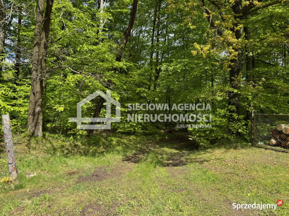 Działka do sprzedania Kosy 2000 metrów Grunty i działki Kartuzy