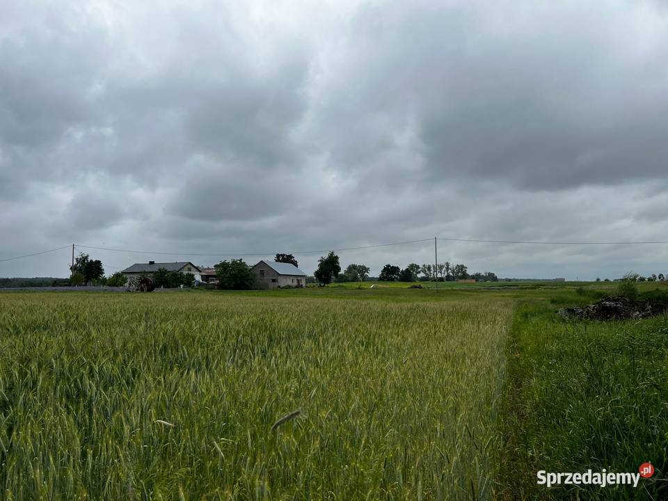 Działka budowlana z dostępem do jeziora kujawsko-pomorskie Rumunki Witkowskie