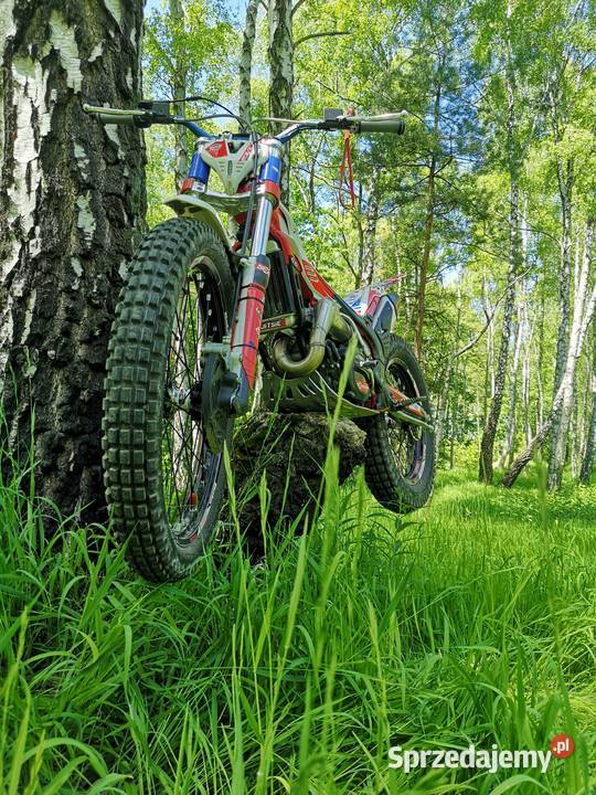 beta evo trial 125250300 evo trial factory Piekary Śląskie