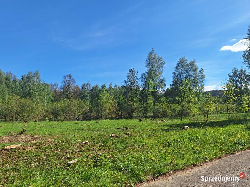 Działki w Małej Kamienicy 1124m2 Stara Kamienica sprzedam