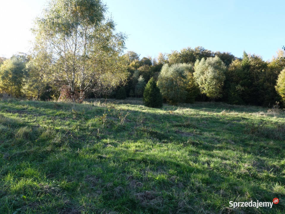 Brenna 253 ha działka inwestycyjna wyciągu 71zł/m2 Sprzedaż sprzedam