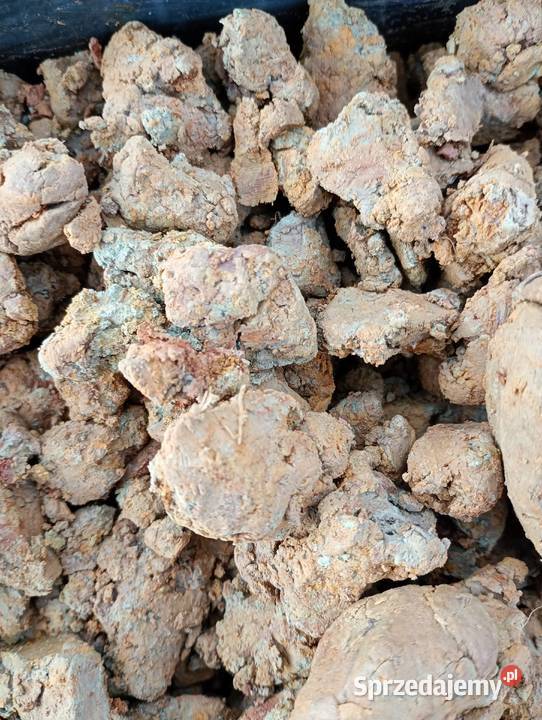 Glina ceramiczna złoże 800 000 ton surowca Łopuszno