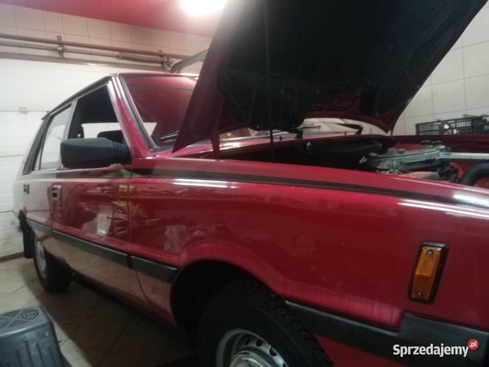 Borewicz export MISTRAL Pruszków sprzedam