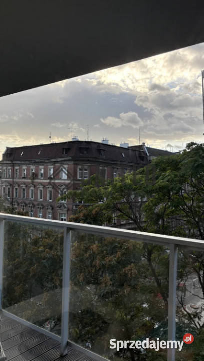 Drzewnej Nieruchomości Wrocław