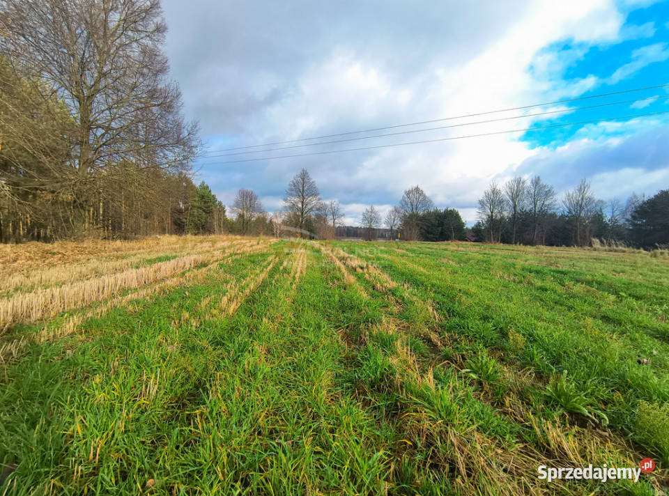 Wyjątkowe działki zalewem w Janowie Podlaskim Janów Podlaski
