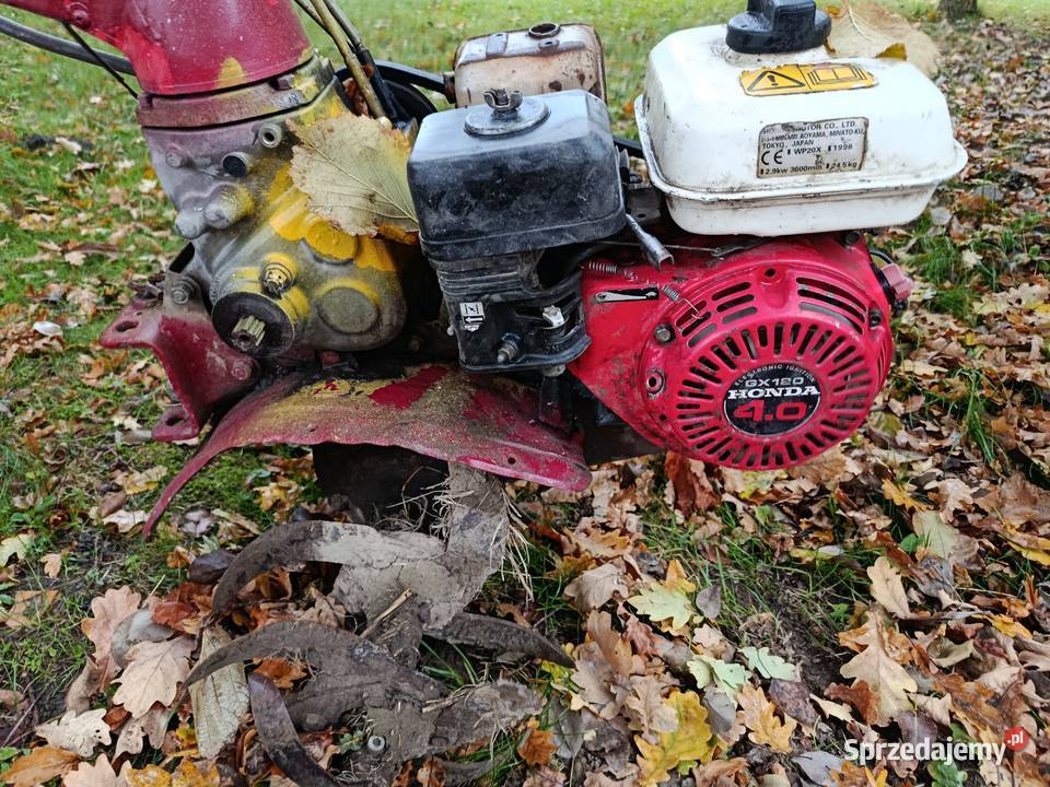 Glebogryzarka dolnośląskie Nawojów Łużycki