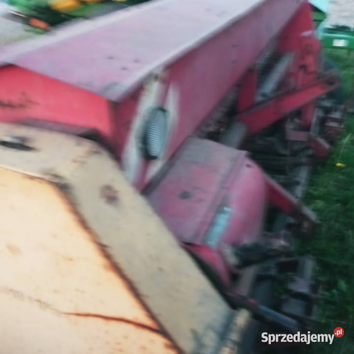 Siewnik Poznaniak Łęczyca