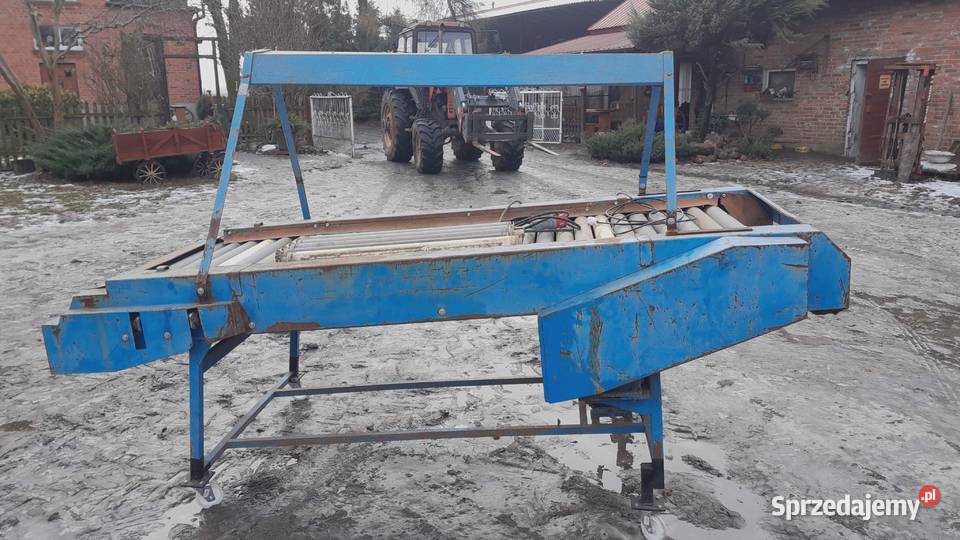 Stół selekcyjny rolkowy przebierczy Błaszki