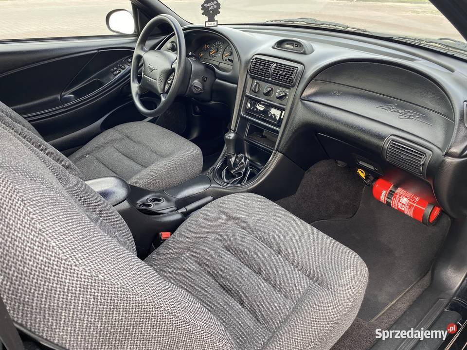Ford Mustang SN95 manual Chomentów-Szczygieł sprzedam