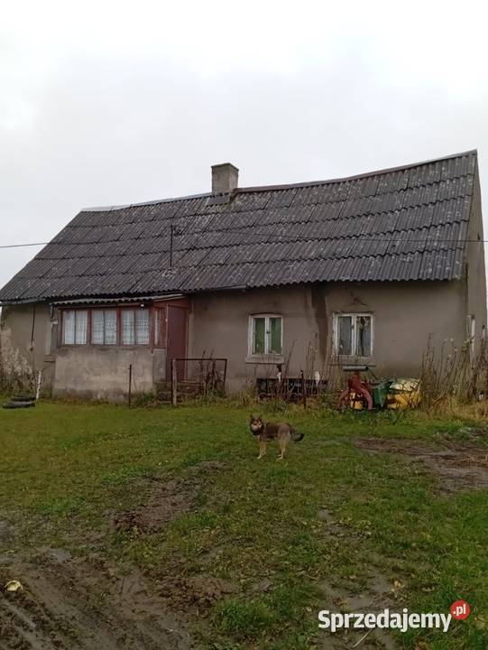 Sprzedam siedlisko z budynkami Węgój sprzedam