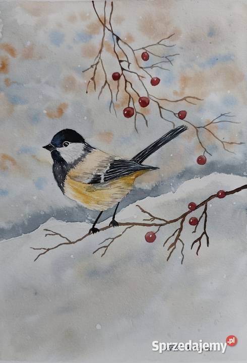 Akwarela Akwarelka Obraz pt Sikorka Wrocław