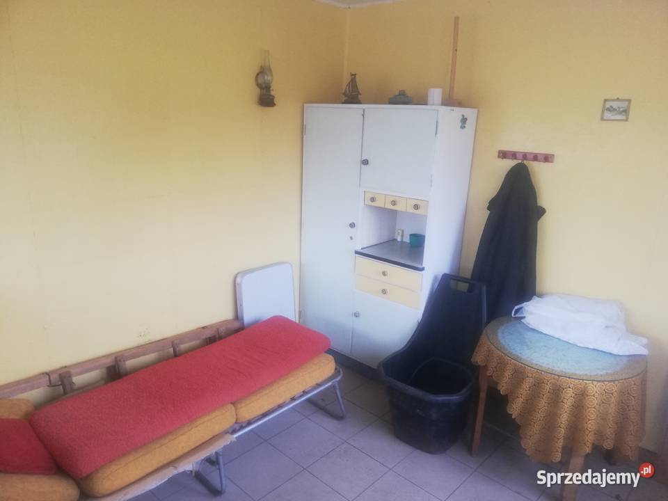 Zadbana działka owocowowarzywna mazowieckie Warszawa
