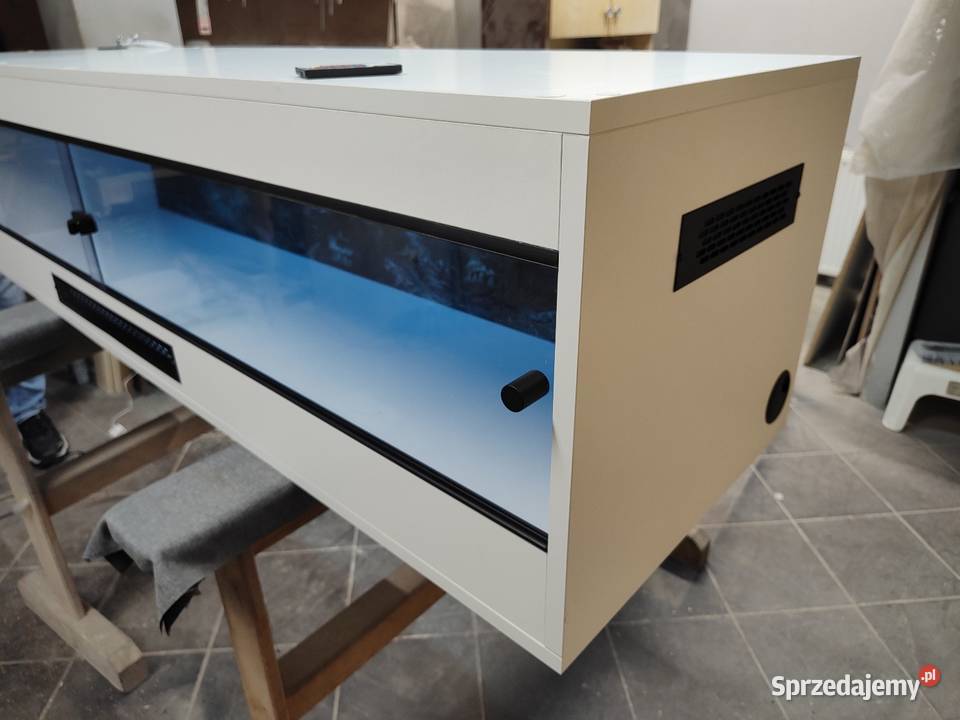 Promocja terrarium legwana zielonego na wymiar Siemianowice Śląskie