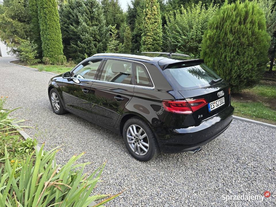 Audi A3 8v 20tdi 150 sportback Xenon LEDy 166700km A3 Jarosław