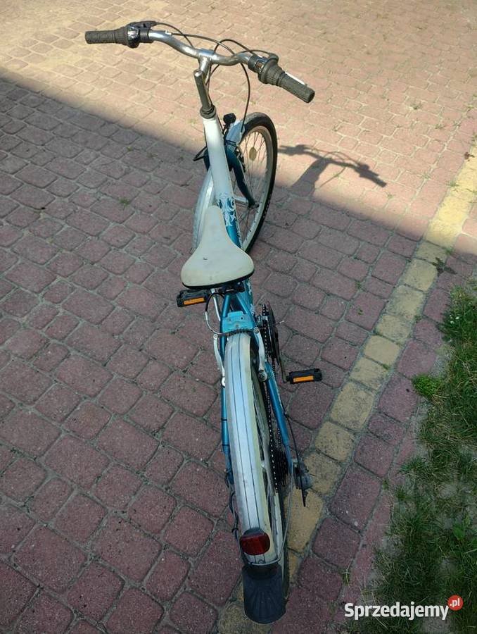 Rower dziecięcy Arkus Panda City koła 24 cale