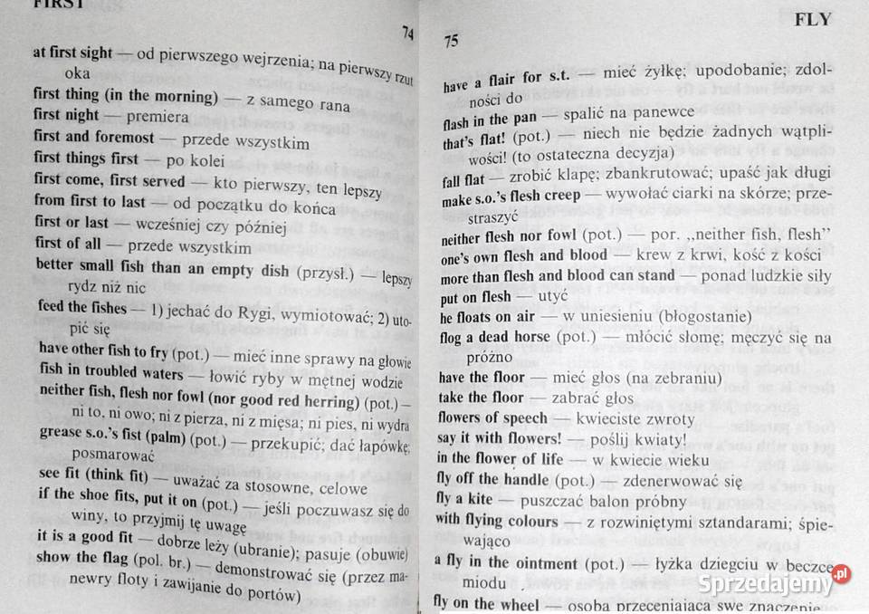 Angielskopolski słownik idiomów i zwrotów Piotr Rok wydania 1991 Pozostałe Chełm