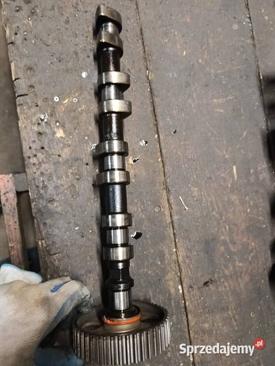 Koło zębate z wałkiem rozrządu 90411776 Zafira