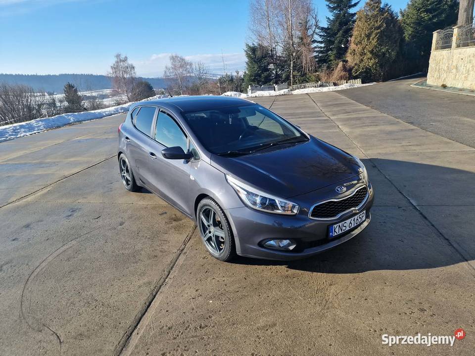 KIA CEED 14 CRDI ROCZNIK 2015 PRZEBIEG 174 małopolskie Nowy Sącz