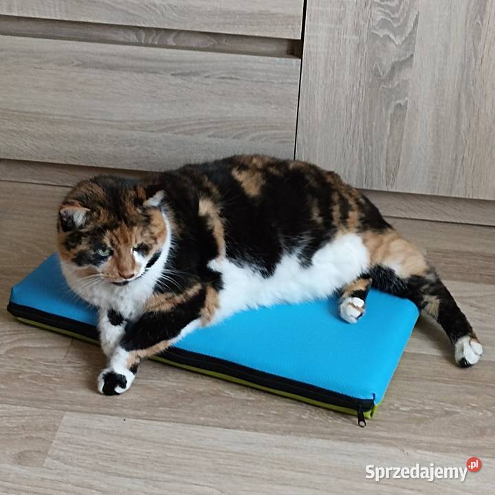 LEGOWISKO MATERAC dwustronne PSA KOTA 90x60x6 podlaskie Łapy