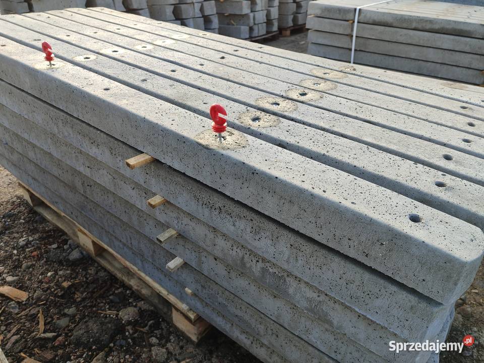 SŁUPKI BETONOWE do siatki pastucha PRODUCENT warmińsko-mazurskie Orneta