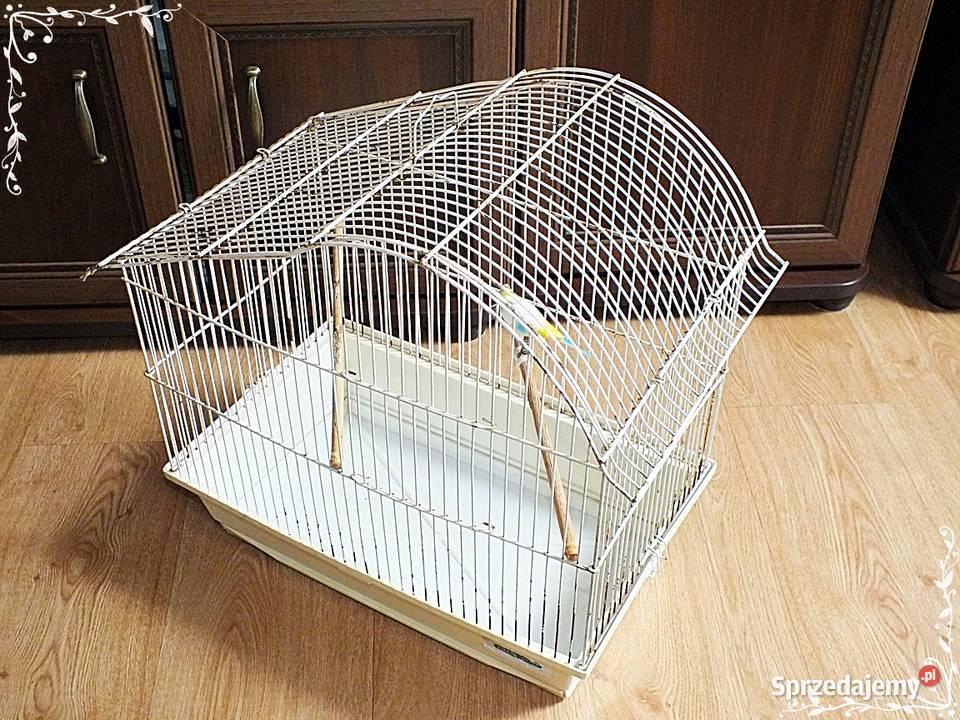 Biała klatka ptaków kanarki zeberki 46x49x30 Lubsko
