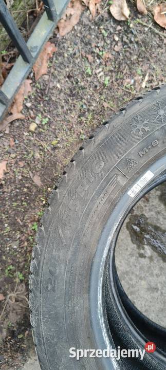 2x 2055516 opony całoroczne Dębica Nawigator 3 Pruszków