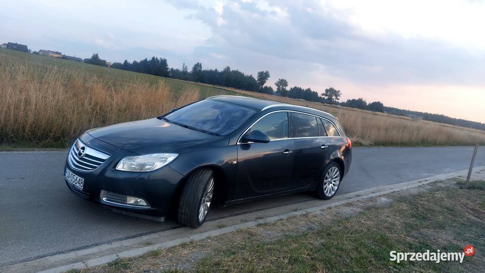 Opel insignia 192500km Jarocin