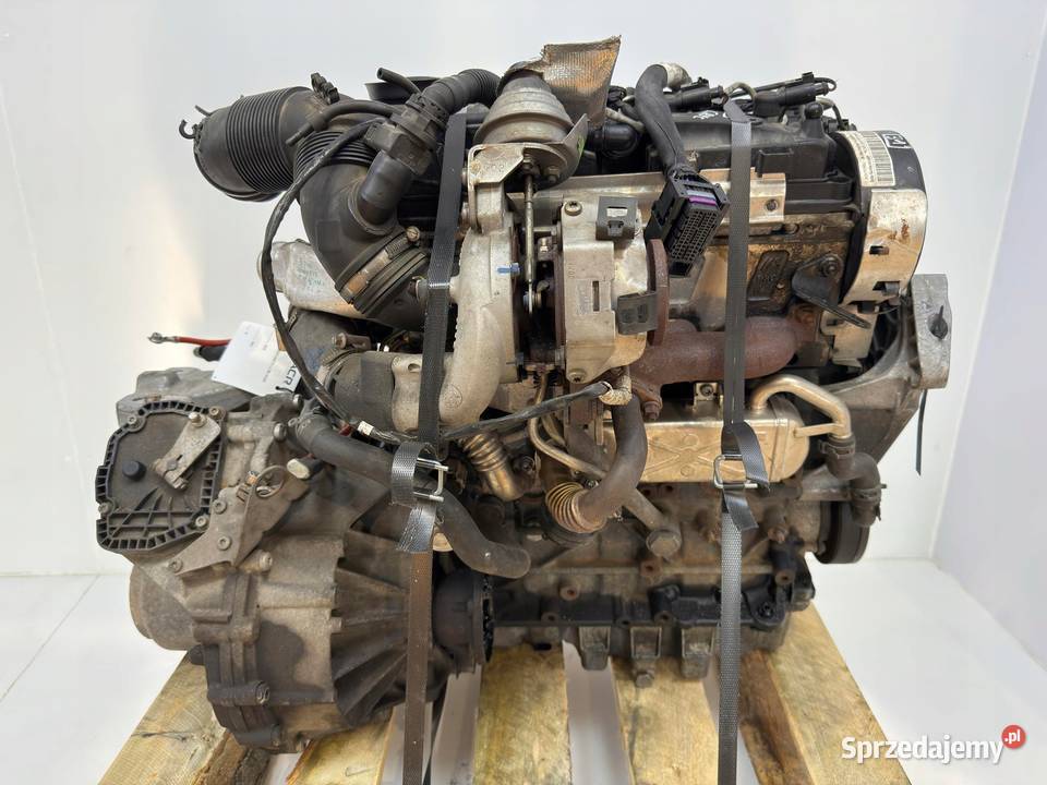 SILNIK CAY CAYC VW Beetle Jetta III Audi A1 8X Chełm
