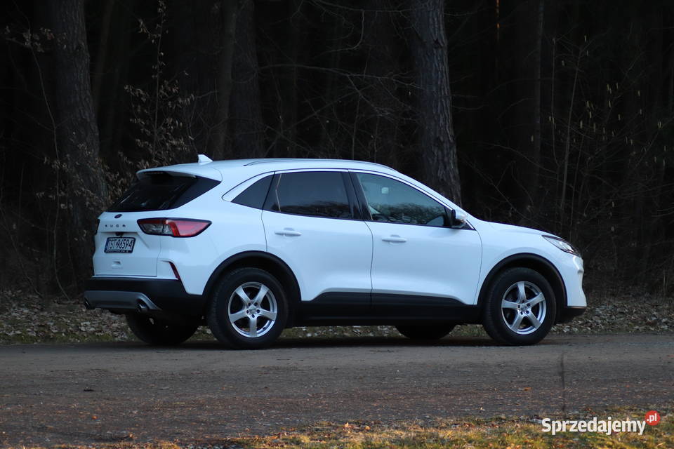 Ford Kuga model 2022r TDCI tempomat Starachowice