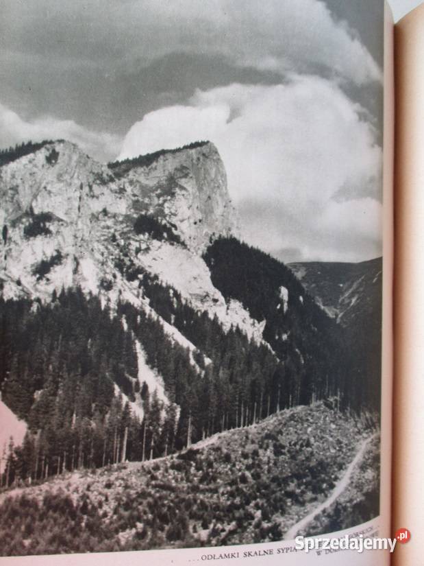 Zielony świat Tatr ZRadwańska Paryska roślinność Łódź