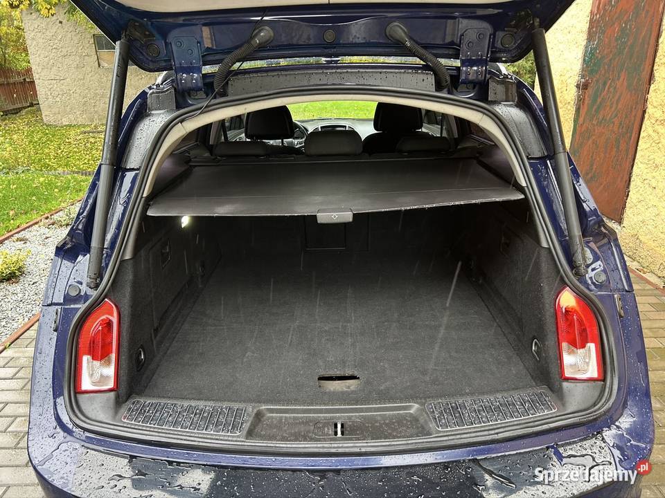 Opel Insignia 20 CDTI 2010r diesel Targoszyn