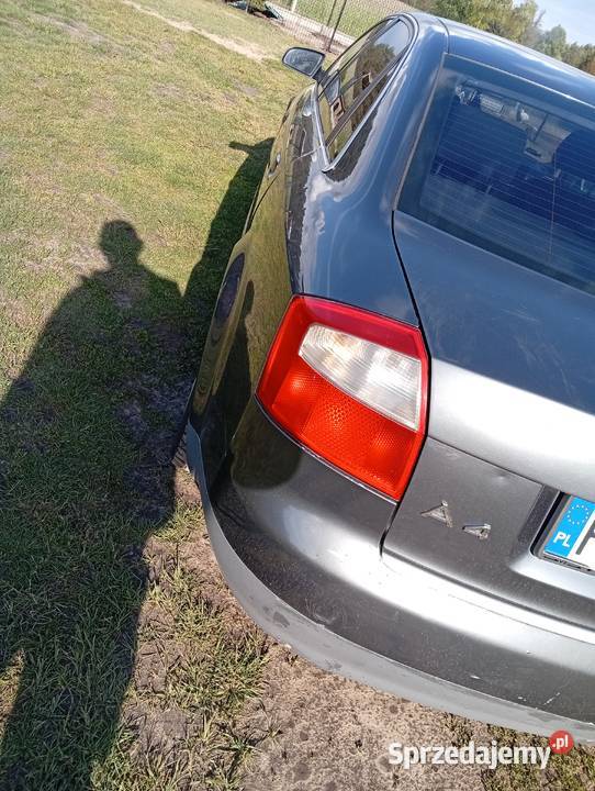 Ałdi A4B6 A4 Dzikowiec