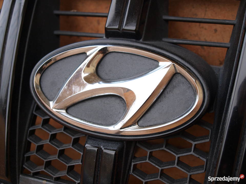 Hyundai Terracan grill atrapa przednia 2001