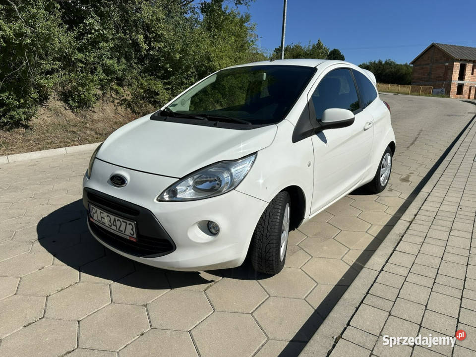 Ford KA Ford KA 13TDCi 75 Climtronic Niski Rok produkcji 2010 Gostyń