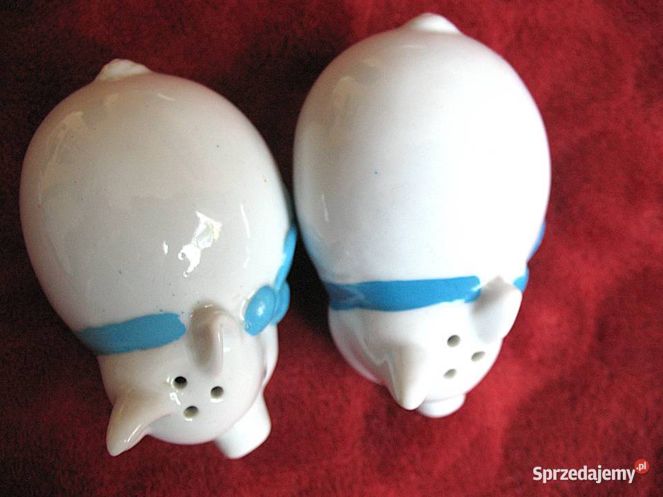 Sól i pieprz świnki 5 x 8 x 5 Solniczka i biały mazowieckie Siedlce sprzedam