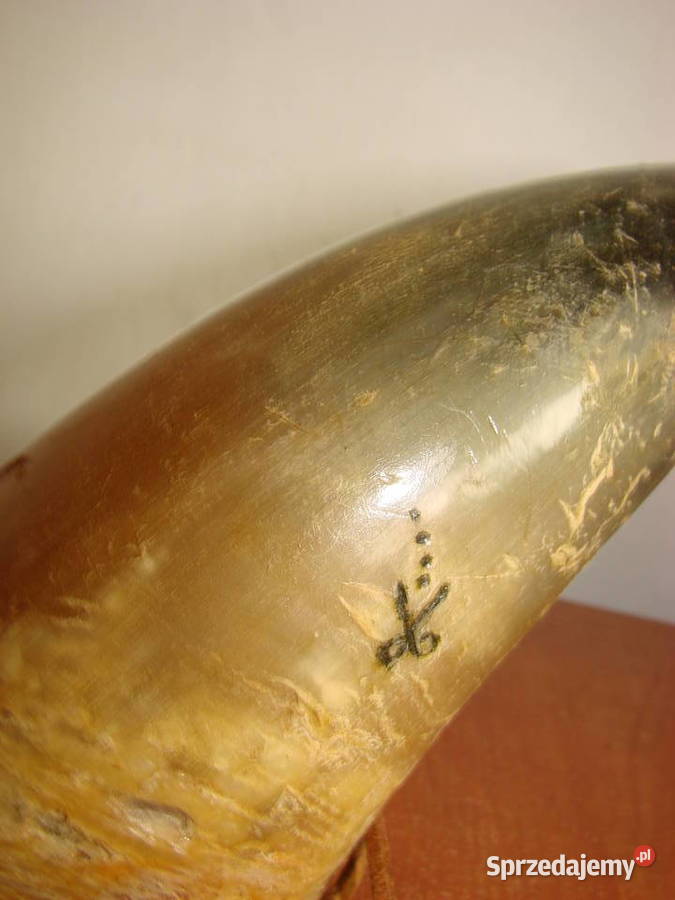 róg do picia pomorskie sprzedam