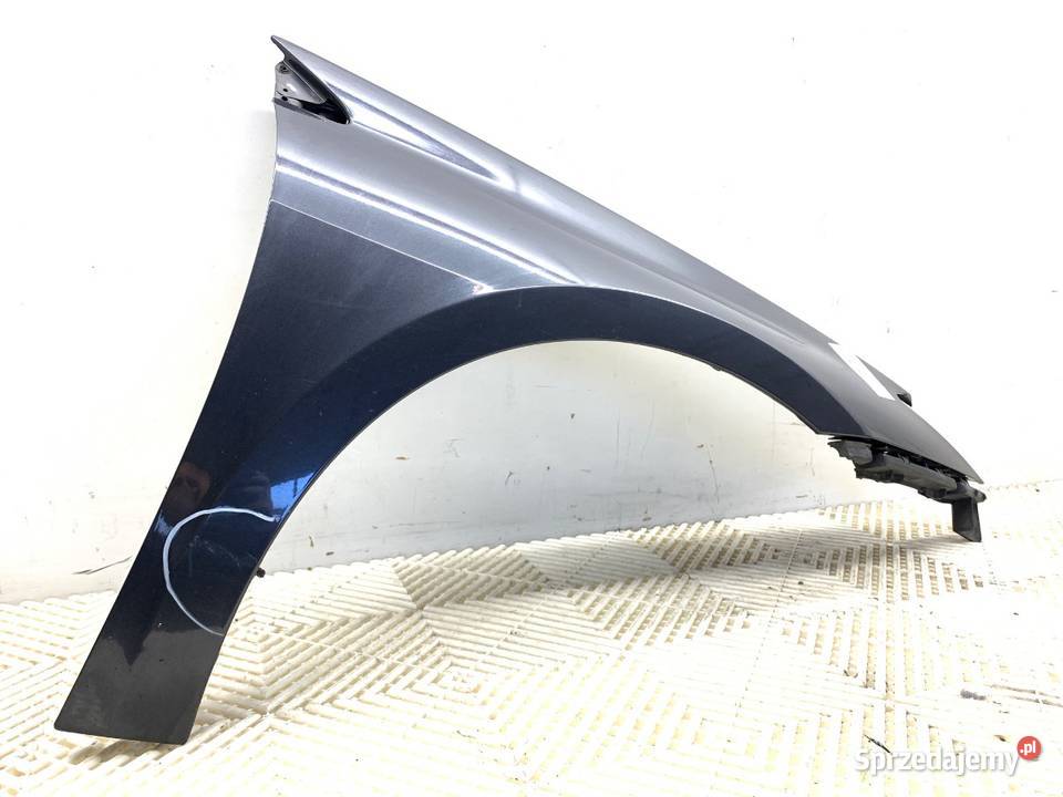 BŁOTNIK PRAWY PRZÓD RENAULT LAGUNA III Hatchback osobowe podkarpackie