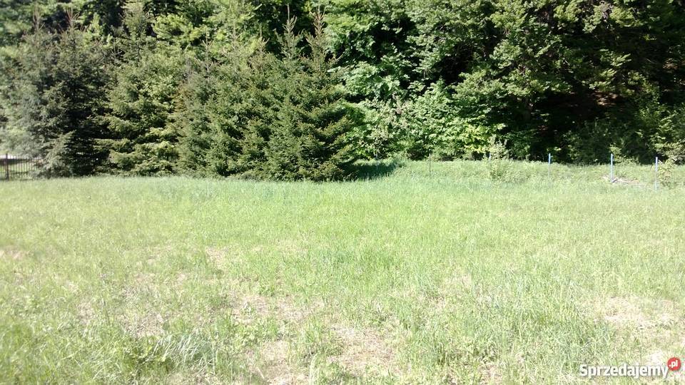 POLANY K KRYNICY OKOŁO 20 ARÓW Nowy Sącz