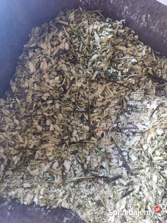 Zrębki Miłochniewice