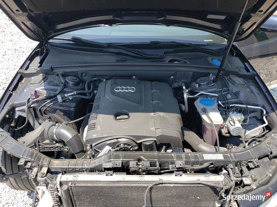 2013 AUDI A4 PREMIUM PLUS