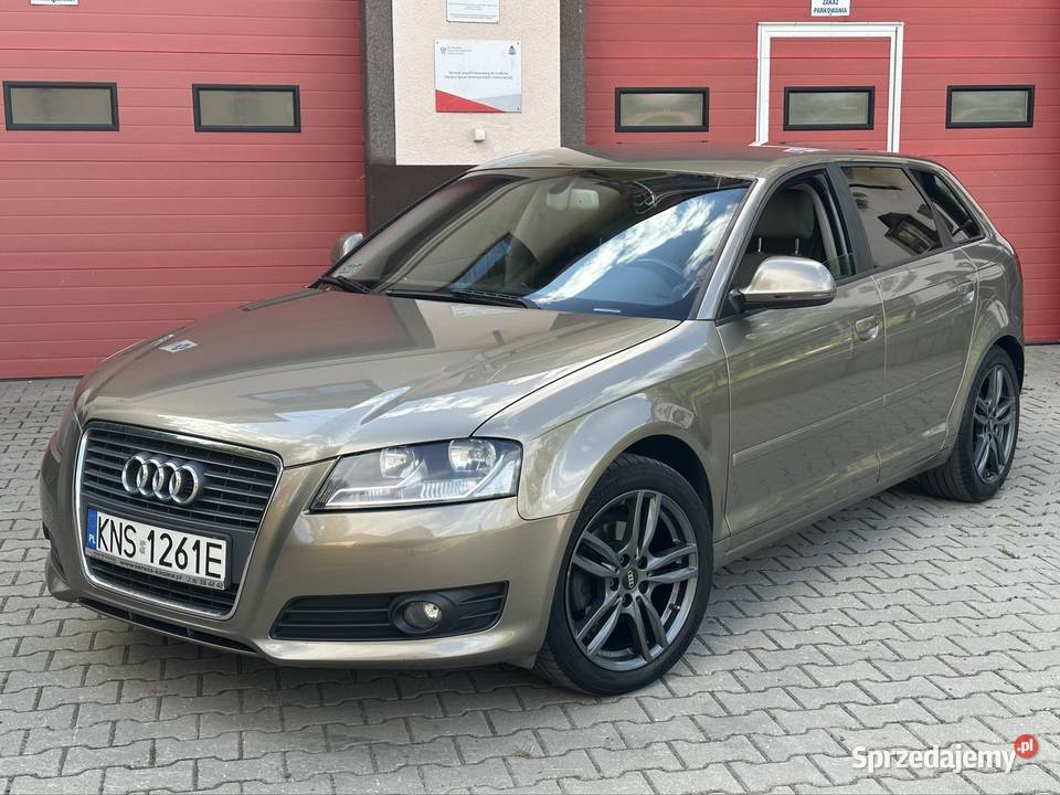 Audi a3 2009 19 tdi 105 lift Hatchback Grybów