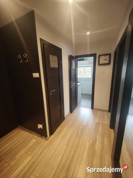 3 pokojowe przytulne mieszkanie remoncie bez 3 piętra i więcej Wrocław